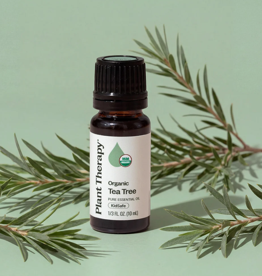Organic Tea Tree Essential Oil