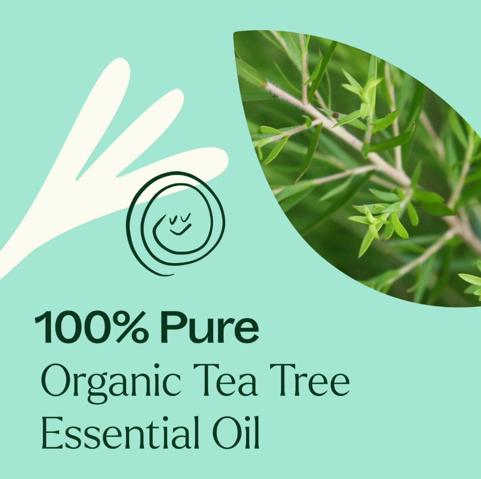 Organic Tea Tree Essential Oil