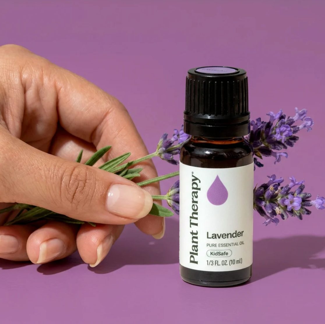 Lavender Essential Oil 10 ml