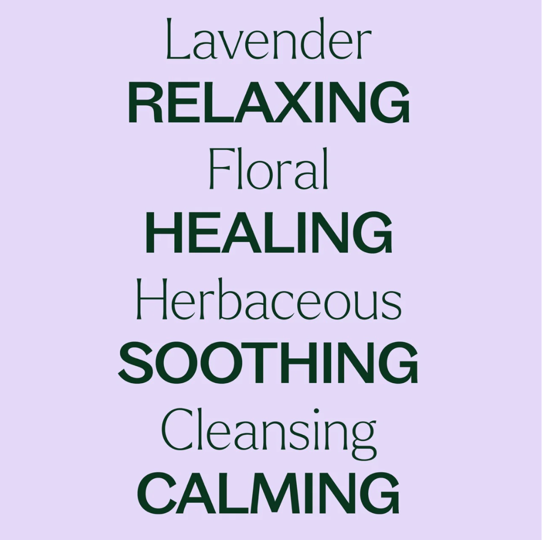 Lavender Essential Oil 10 ml