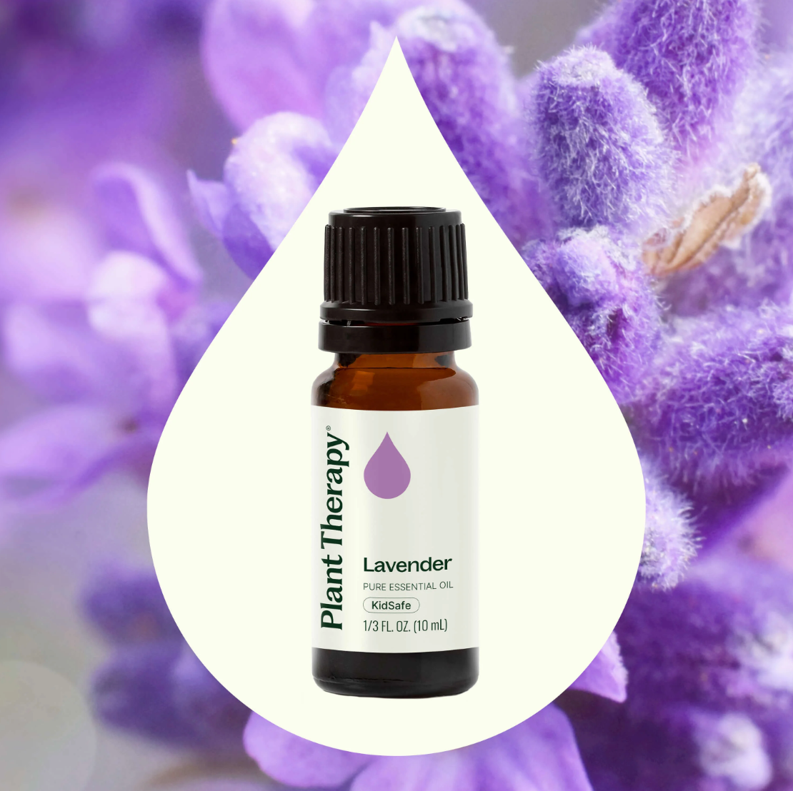 Lavender Essential Oil 10 ml