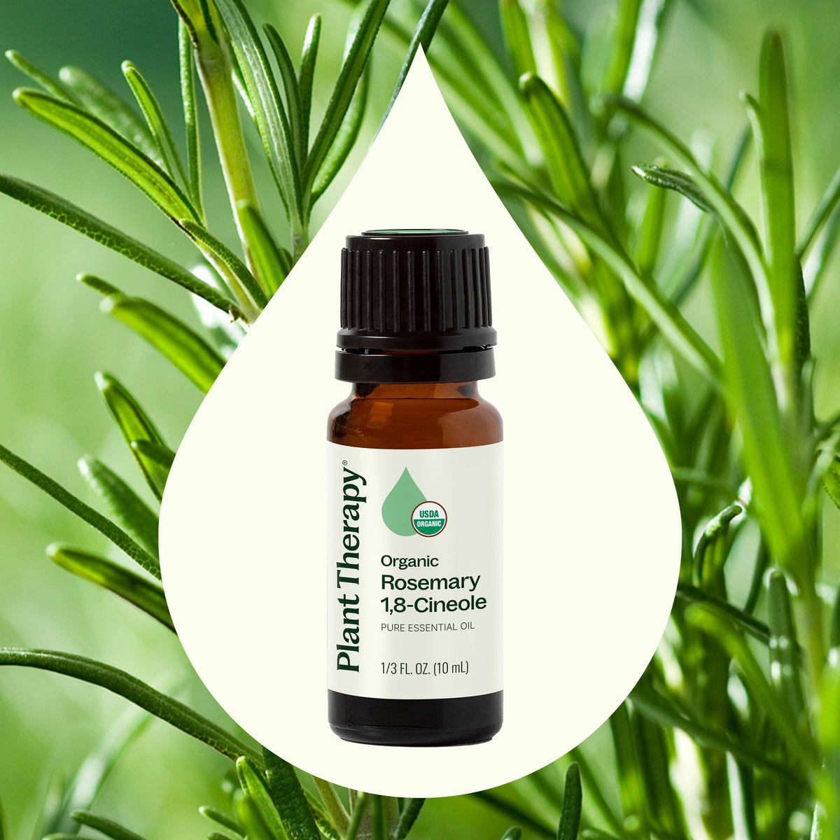 Organic Rosemary 1,8-Cineole Essential Oil 10 mL